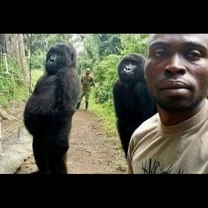 Meet your Posher, Quintin